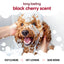 Buddycare Dog Shampoo Black Cherry