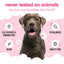Buddycare Dog Shampoo Baby Fresh