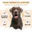 Buddycare Dog Shampoo Oatmeal
