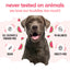 Buddycare Watermelon Dog Shampoo 500ml
