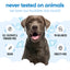 Buddycare Dog Shampoo Bubblegum
