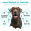 Buddycare Dog Shampoo Tropical