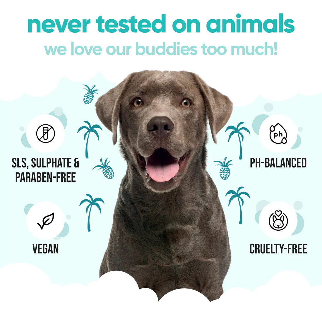 Buddycare Dog Shampoo Tropical