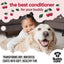 Buddycare Black Cherry Dog Conditioner 500ml