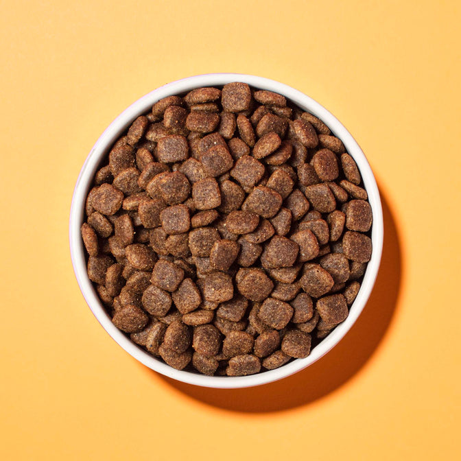 Pooch & Mutt Primal Lamb & Ostrich High Meat Dry Food