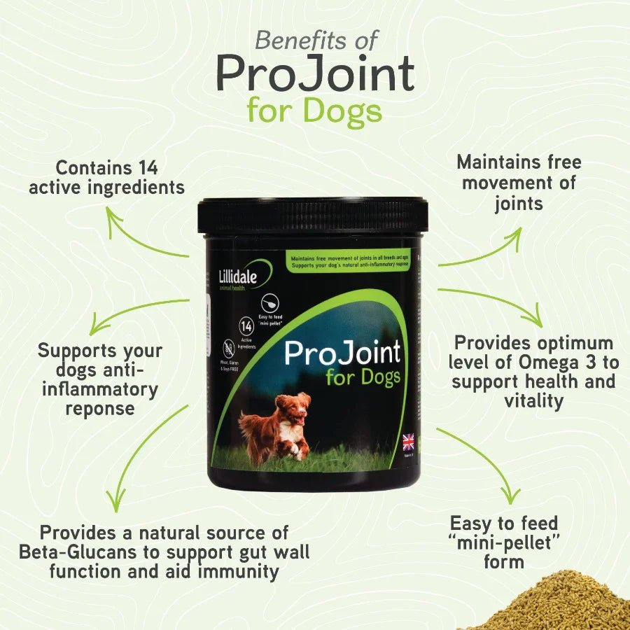 Lilidale Pro Joint For Dogs 200G