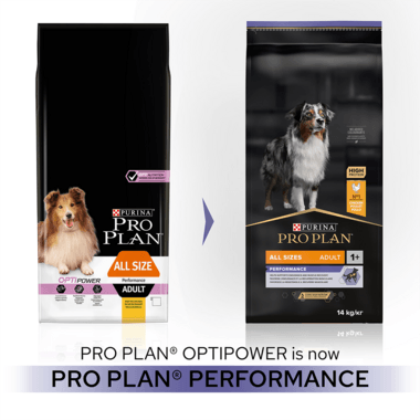 Pro Plan Dog All Sizes Adult Performance With Optipower Chicken Dry Food 14Kg - Ormskirk Pets