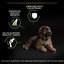 Pro Plan Dog Large Puppy Robust With Optistart Chicken Dry Food 3Kg - Ormskirk Pets