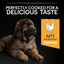 Pro Plan Dog Large Puppy Robust With Optistart Chicken Dry Food 3Kg - Ormskirk Pets