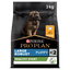 Pro Plan Dog Large Puppy Robust With Optistart Chicken Dry Food 3Kg - Ormskirk Pets