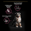 Pro Plan Dog Medium Puppy For Sensitive Skin With Optiderma Salmon Dry Food 3Kg - Ormskirk Pets
