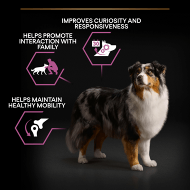 Pro Plan Dog Medium & Large Adult 7+ With Optiage Chicken Dry Food 14Kg - Ormskirk Pets