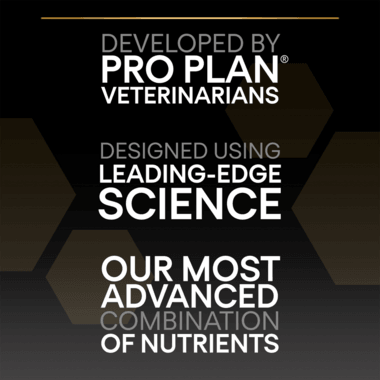 Pro Plan Dog Medium & Large Adult 7+ With Optiage Chicken Dry Food 14Kg - Ormskirk Pets