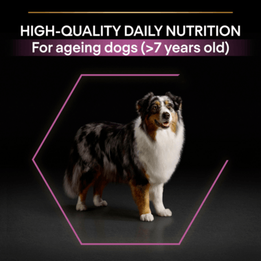 Pro Plan Dog Medium & Large Adult 7+ With Optiage Chicken Dry Food 14Kg - Ormskirk Pets