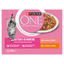 Purina One Kitten Chicken & Salmon 85Gx8