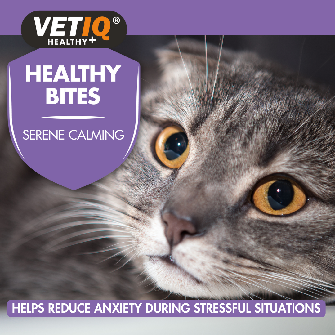 Vetiq Healthy Bites Serene Calming Cats & Kittens 65G