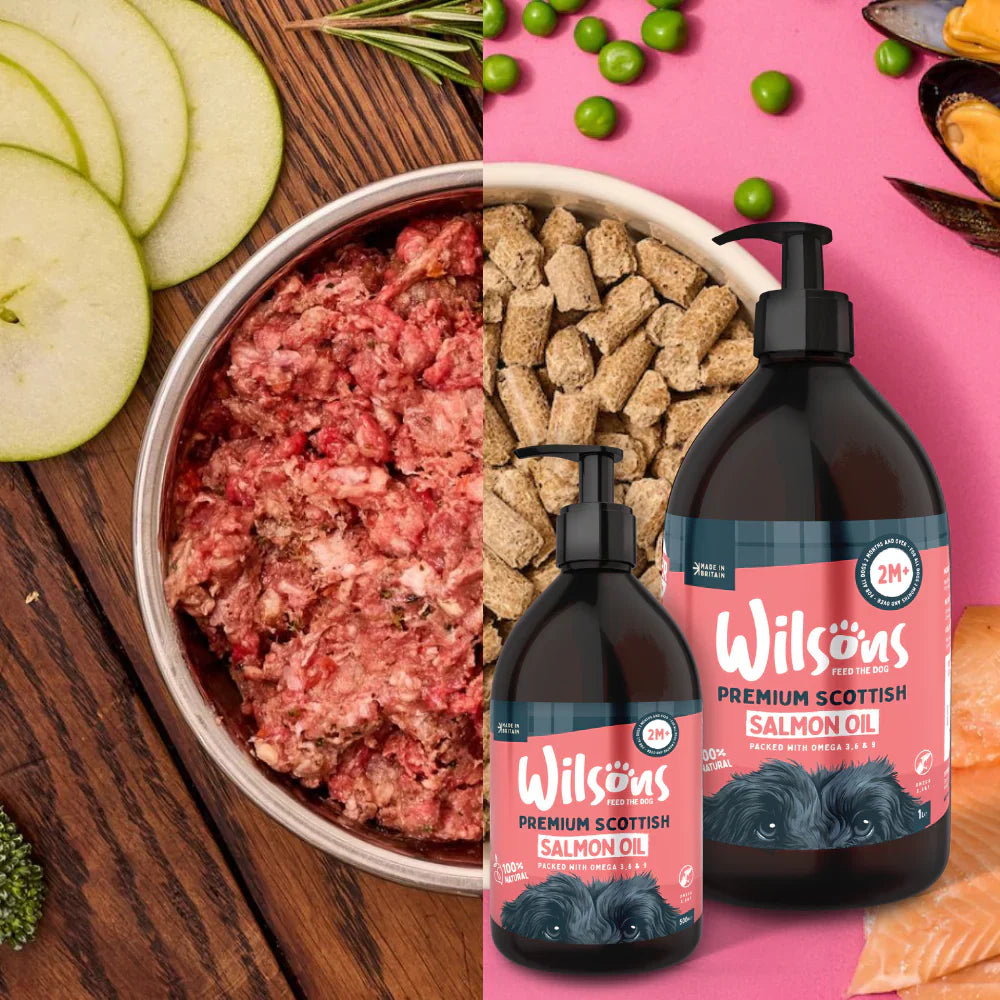 Wilsons Salmon Oil 180g