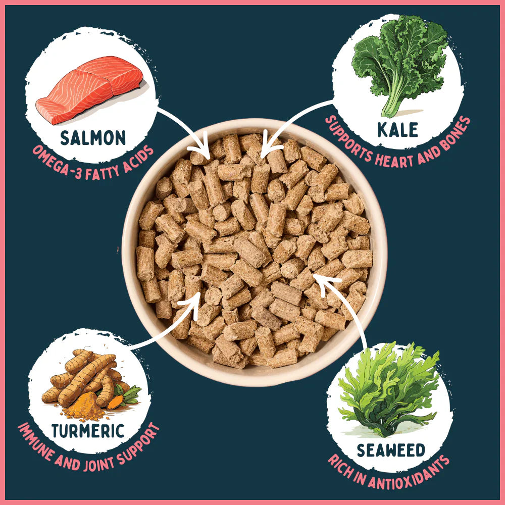 Wilsons Salmon Dry Cold Pressed Dog Food