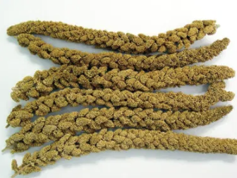 Vital Millet Spays 15kg