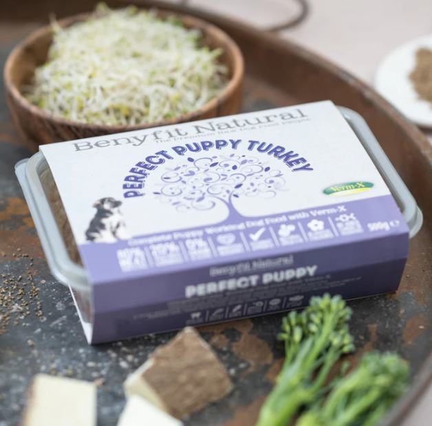 Benyfit Natural Perfect Puppy Turkey 500G