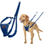 Company Of Animals Halti No Pull Harness Blue