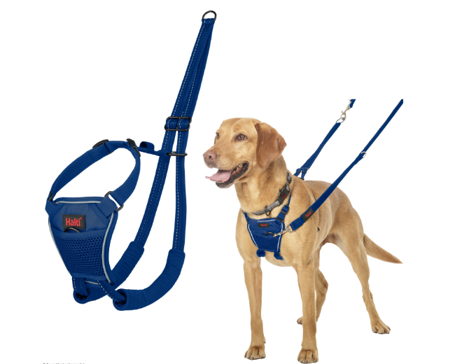 Company Of Animals Halti No Pull Harness Blue
