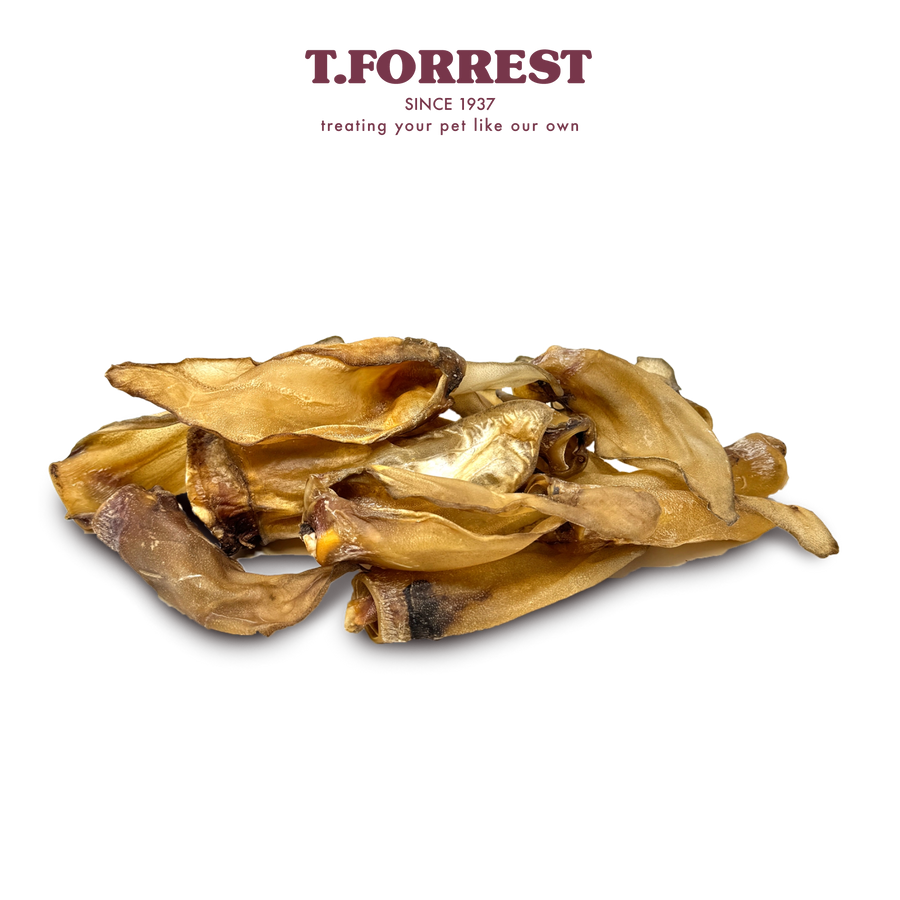 T Forrest Large Buffalo Ear x20