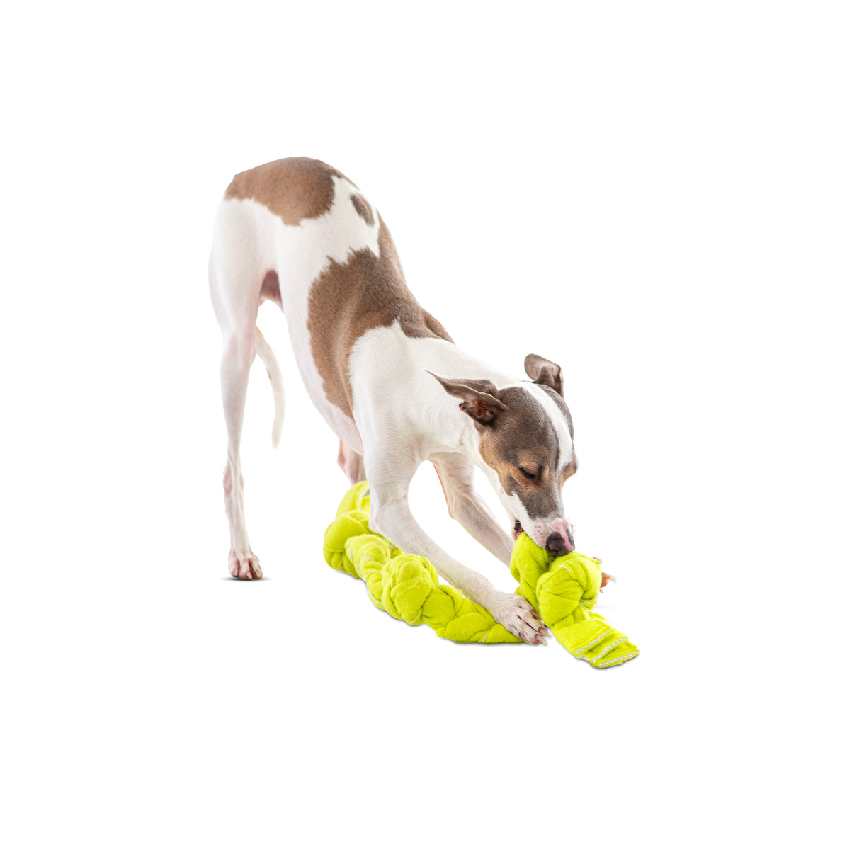 Guru Tennis Snuffle Rope