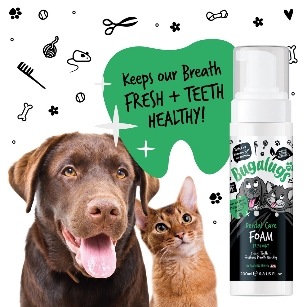BUGALUGS DENTAL CARE FOAM FRESH MINT 200ML