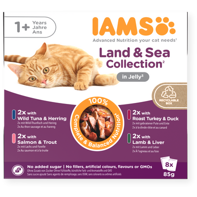 Iams 1+ Adult Cat Land & Sea Collection In Jelly 8 X 85G