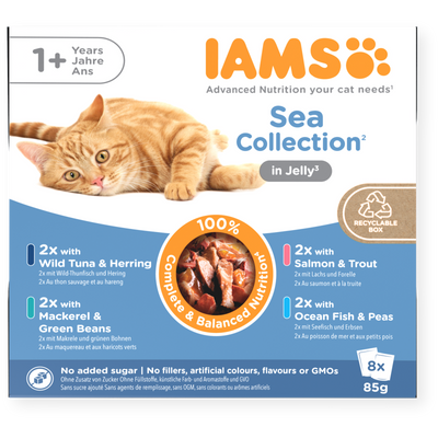 Iams 1+ Adult Cat Delights Sea Collection In Jelly 8 X 85G