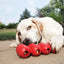 KONG Goodie Ribbon - Ormskirk Pets