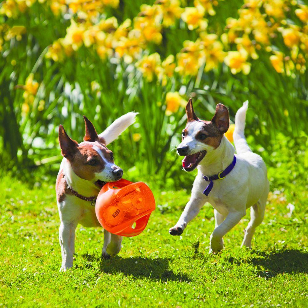 KONG Jumbler Ball - Ormskirk Pets