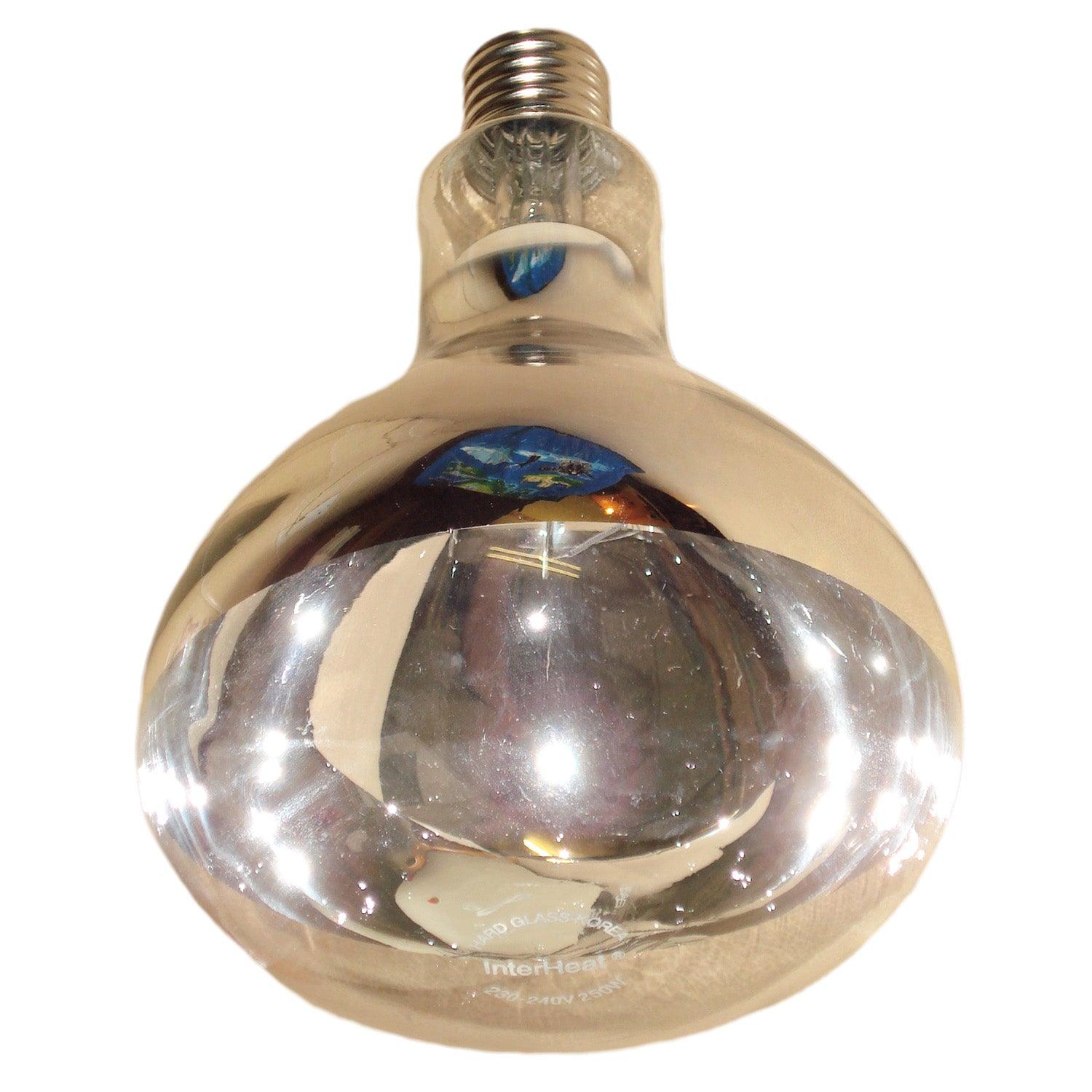 Intelec Hard Glass Infra-Red Heat Bulb Clear 150w - Ormskirk Pets