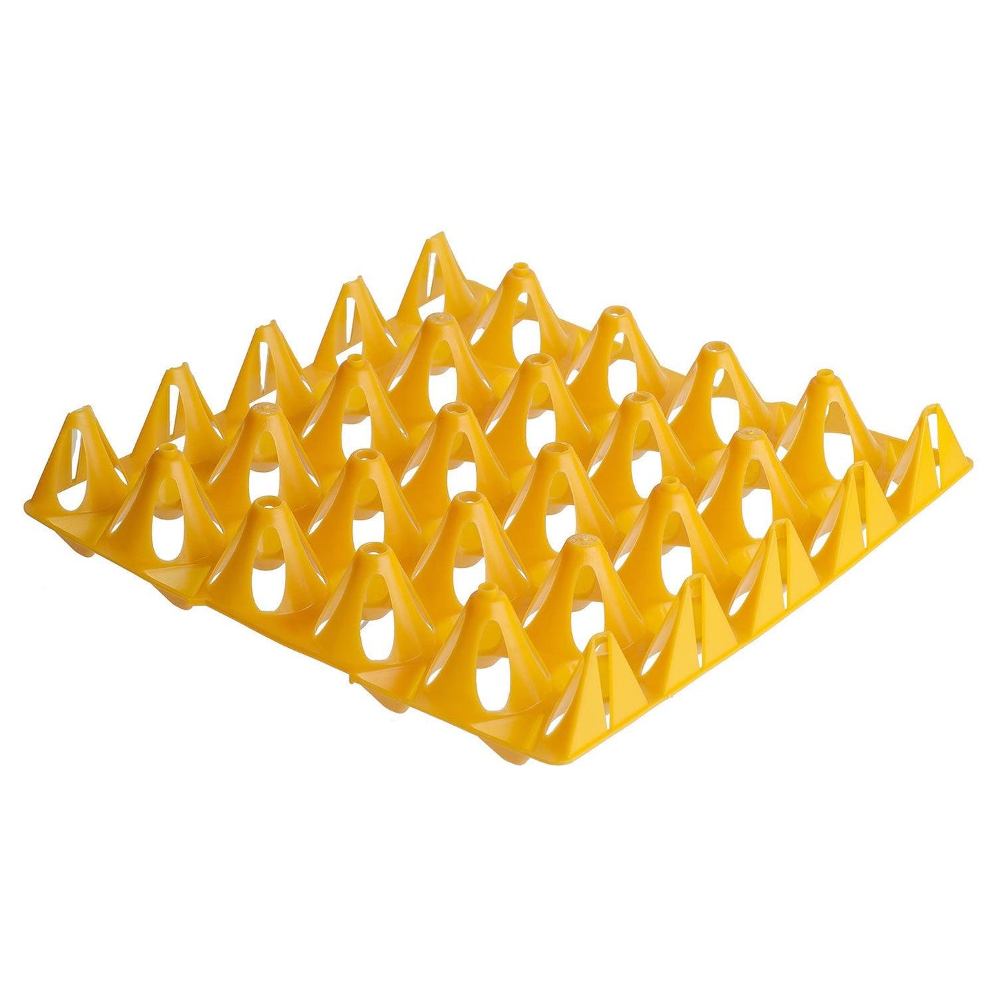 Eton Plastic Keyes Tray 20 Eggs Orange - Ormskirk Pets