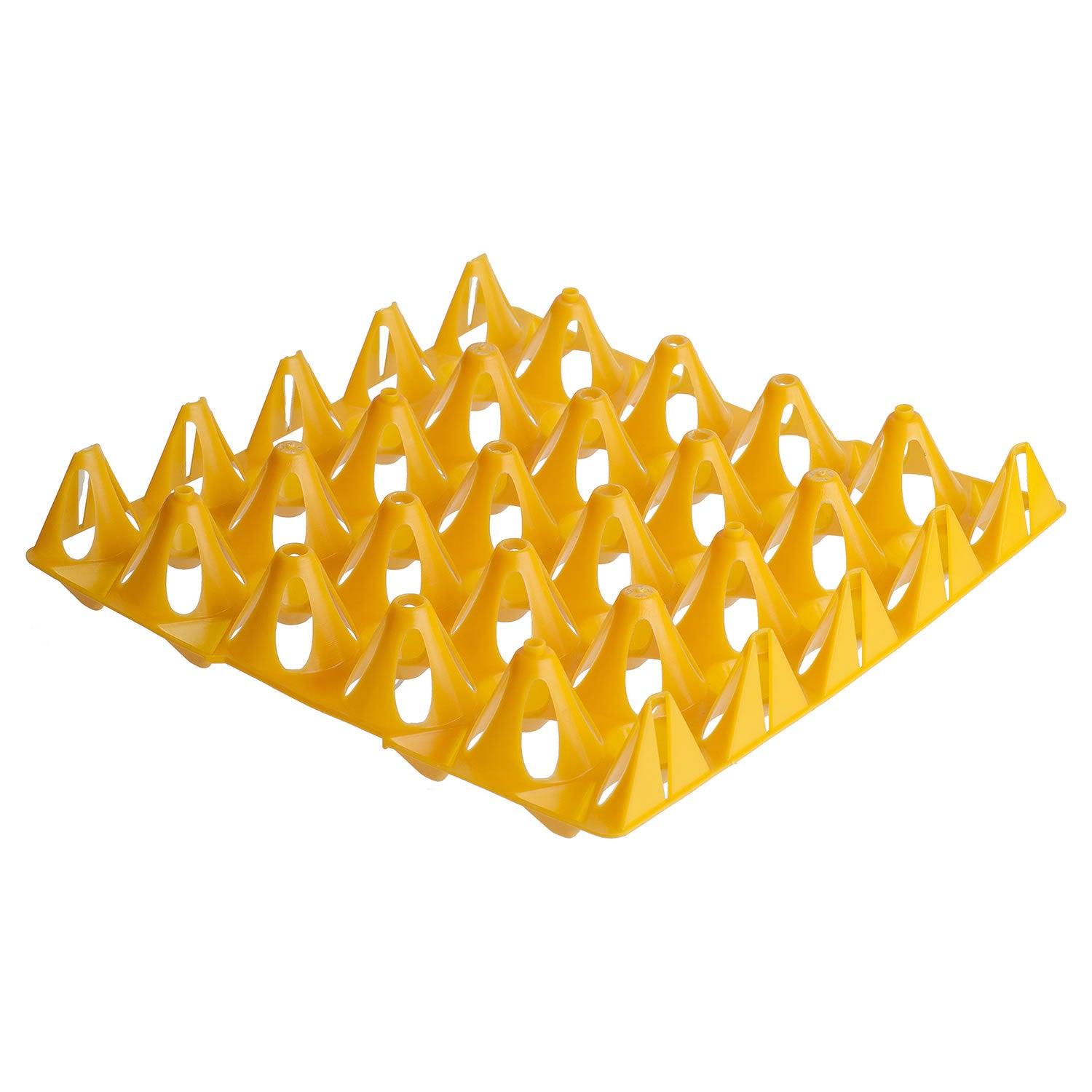 Eton Plastic Keyes Tray 20 Eggs Orange - Ormskirk Pets