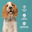 Burns Adult Senior Dogs Sensitive Grain Free Turkey & Potato 2Kg