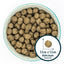 Burns Adult Senior Dogs Sensitive Grain Free Turkey & Potato 12Kg