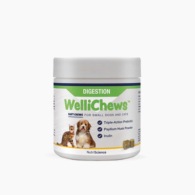 Wellichews Digestion Soft Chews