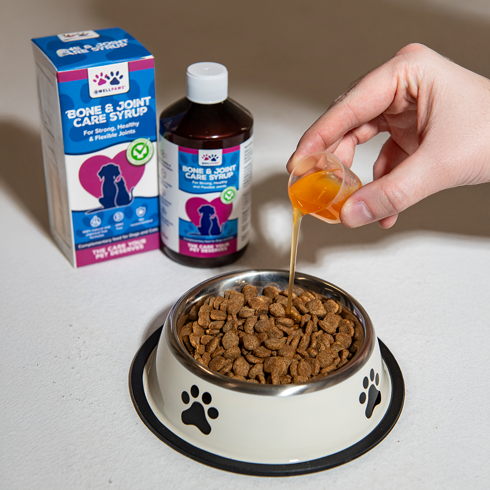 WellPaws Bone & Joint Care Syrup 300ml