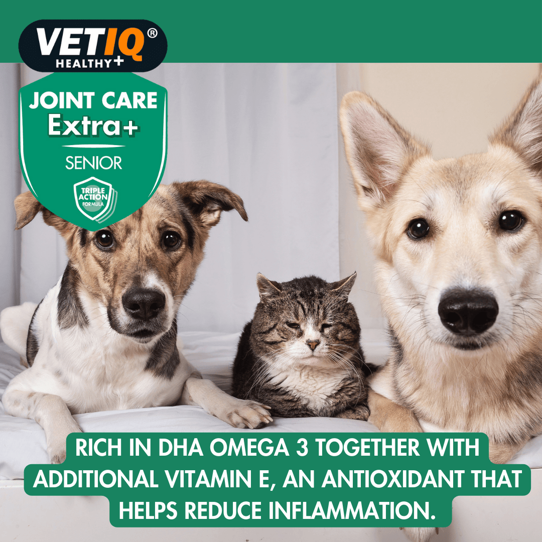Vetiq Healthy + Joint Care Extra Senior Cats & Dogs 45 Tablets