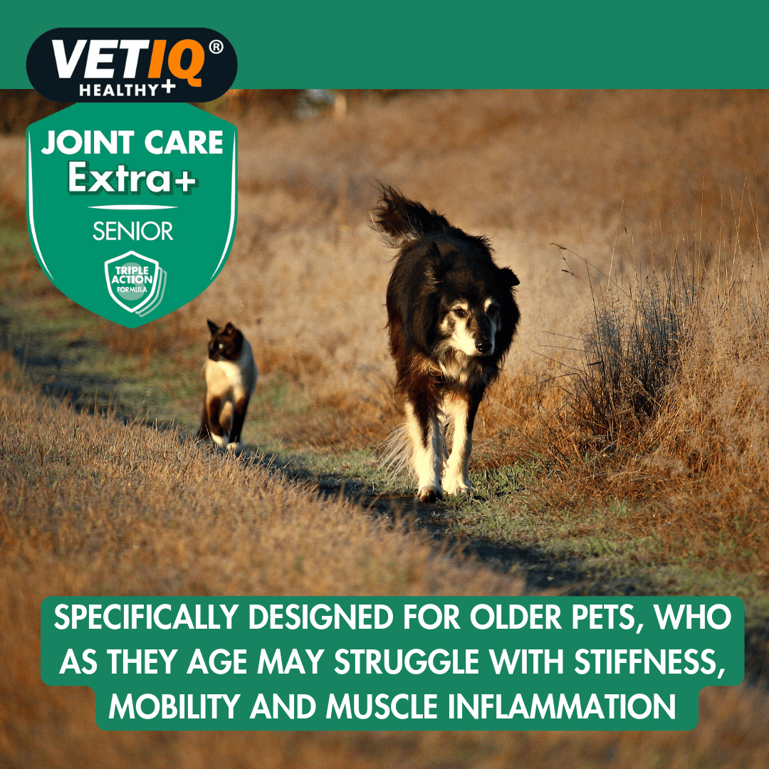 Vetiq Healthy + Joint Care Extra Senior Cats & Dogs 45 Tablets