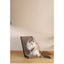 M-PETS My Scratchy Cat Cardboard Scratchers Reno