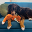 KONG Wild Low Stuff Fox Medium