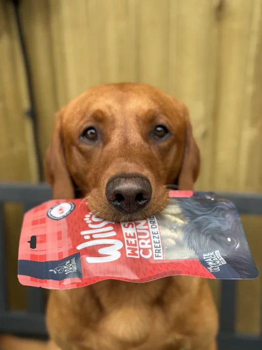 Wilsons Wee Salmon Crunchies 70g