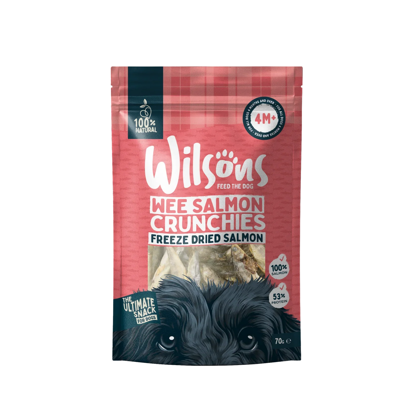 Wilsons Wee Salmon Crunchies 70g