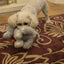 GOOD BOY Gift Elephant NEW 31cm (12") Large Toy