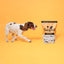 Pooch & Mutt Primal Lamb & Ostrich High Meat Dry Food
