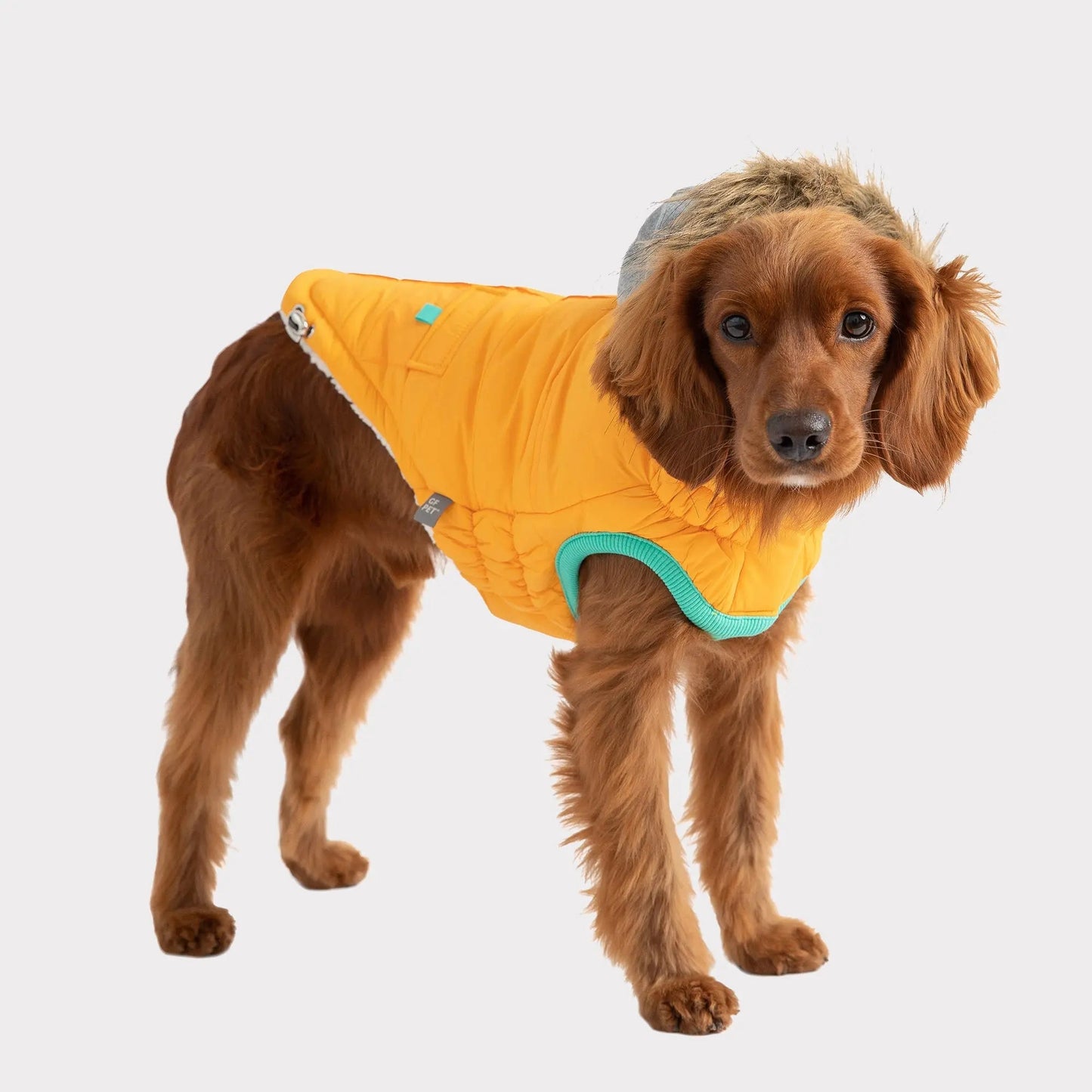 GF Pet Elasto-Fit Winter Sailor Parka Yellow