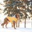 GF Pet Elasto-Fit Winter Sailor Parka Yellow